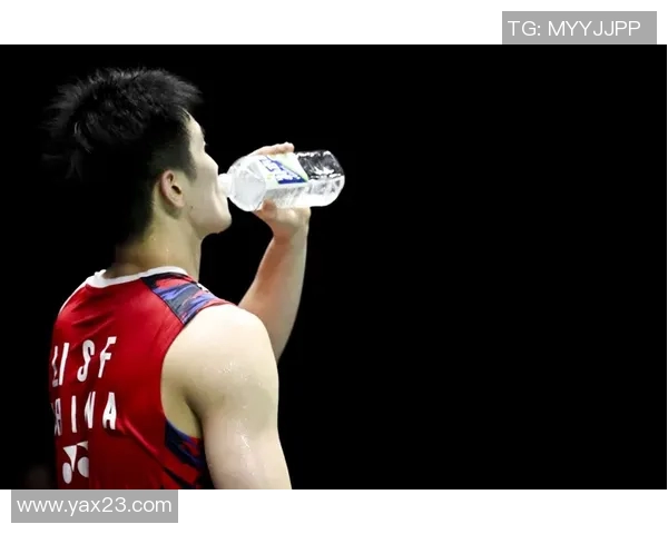 羽毛球顶级赛事参赛选手最新状态与赛程动态全景解析